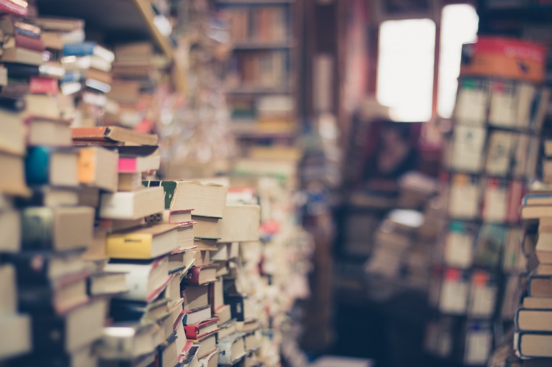 bibliotheque-FORCALQUEIRET-min_books-1163695